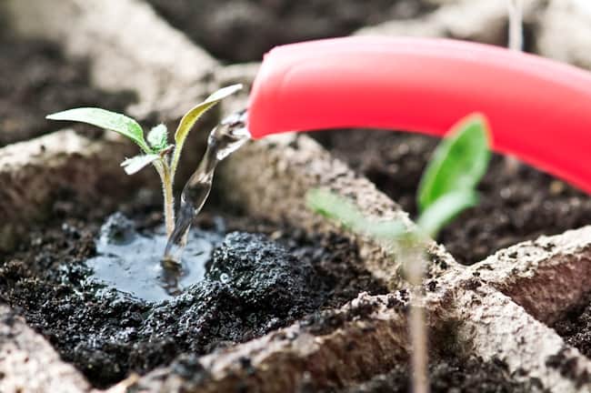 Lead Nurture Fundamentals for Business to Business Companies